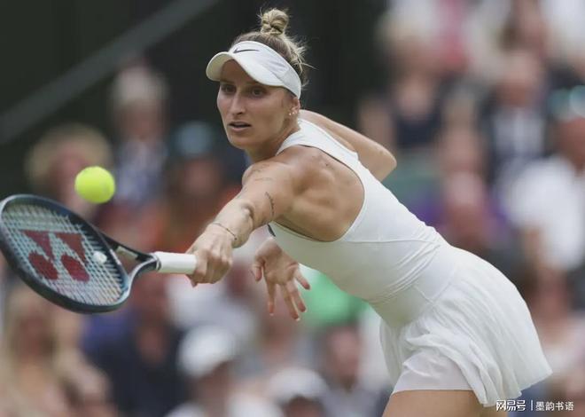 星露谷物语 星露谷物语